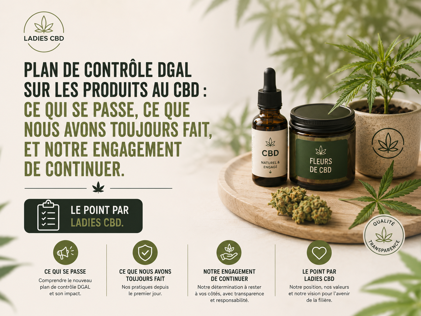 Plan DGAL et CBD : où en est-on, et notre position